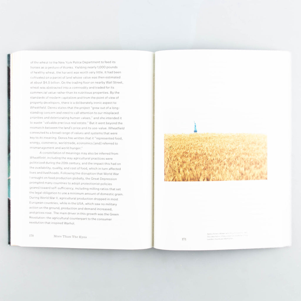 More Than Eyes by Ellen Mara De Wachter - 6