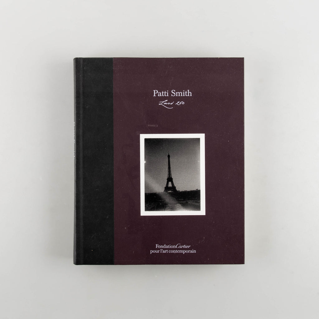 Land 250 by Patti Smith - 17