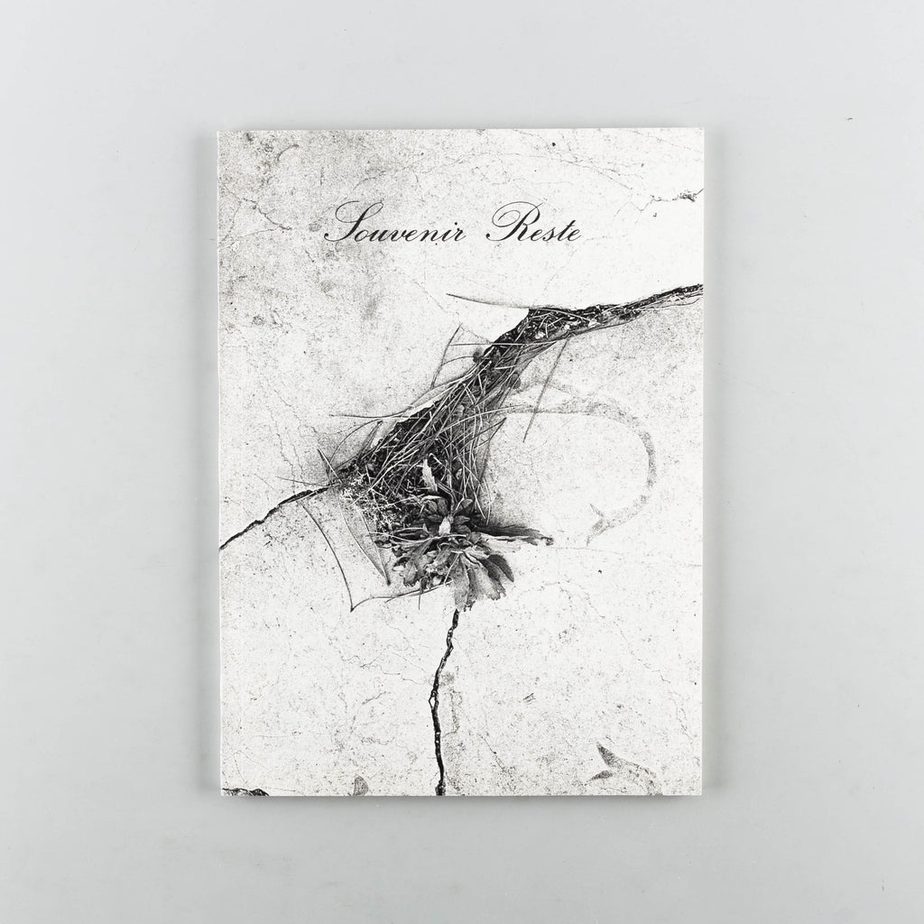 Souvenir Reste by Thomas Dettori - Cover