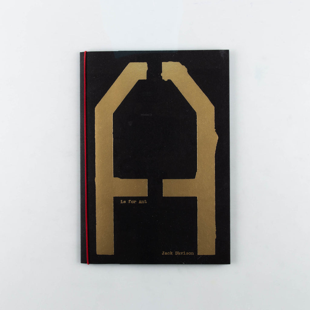 A is for Ant Newspaper by Jack Davison - 7
