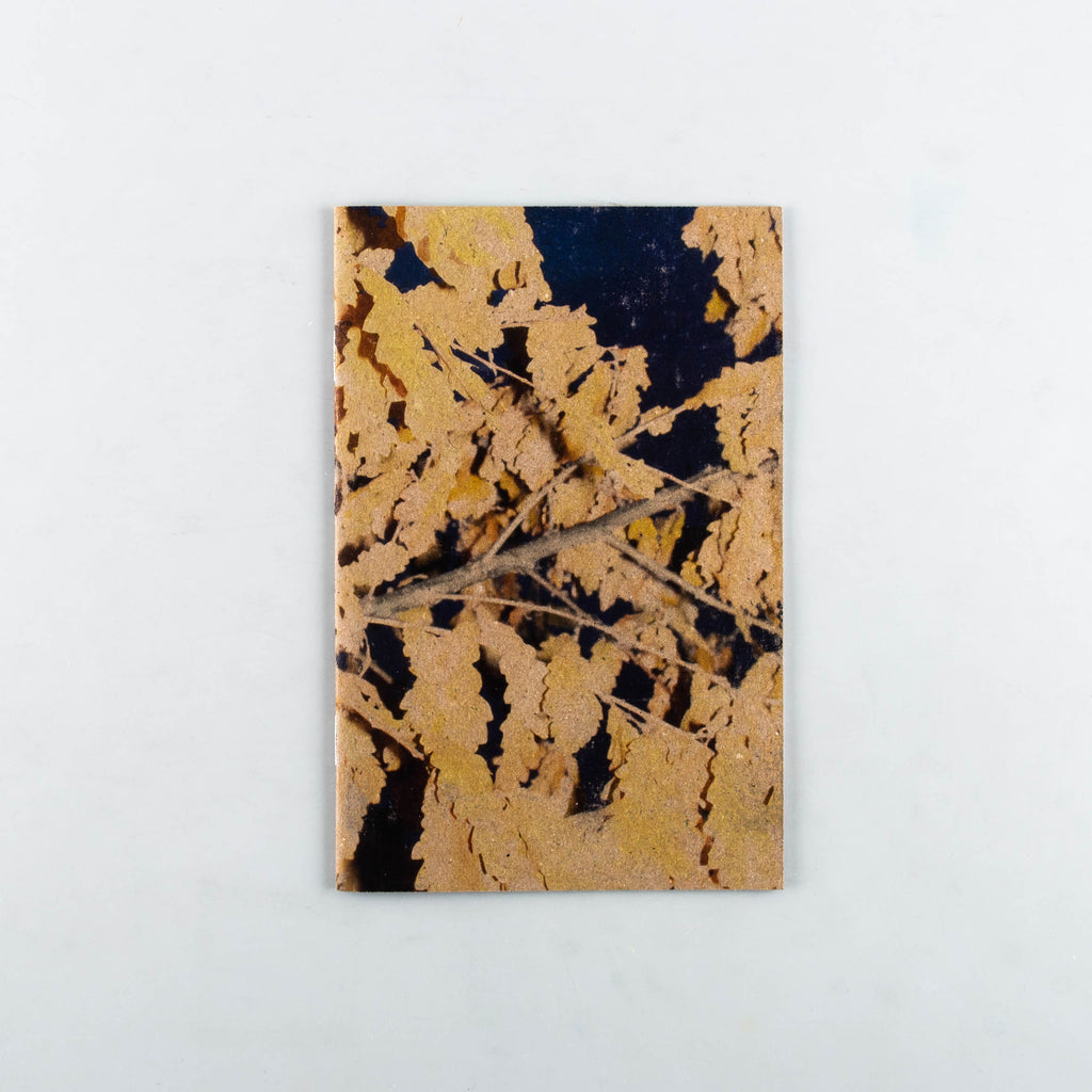 After The Fall by Harry Gammer-Flitcroft - 17