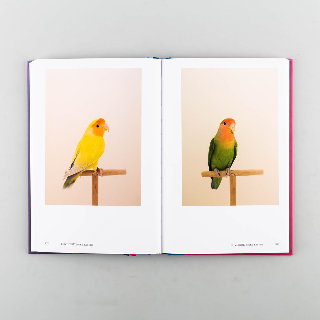 An Incomplete Dictionary of Show Birds Vol. 2 by Luke Stephenson - 5