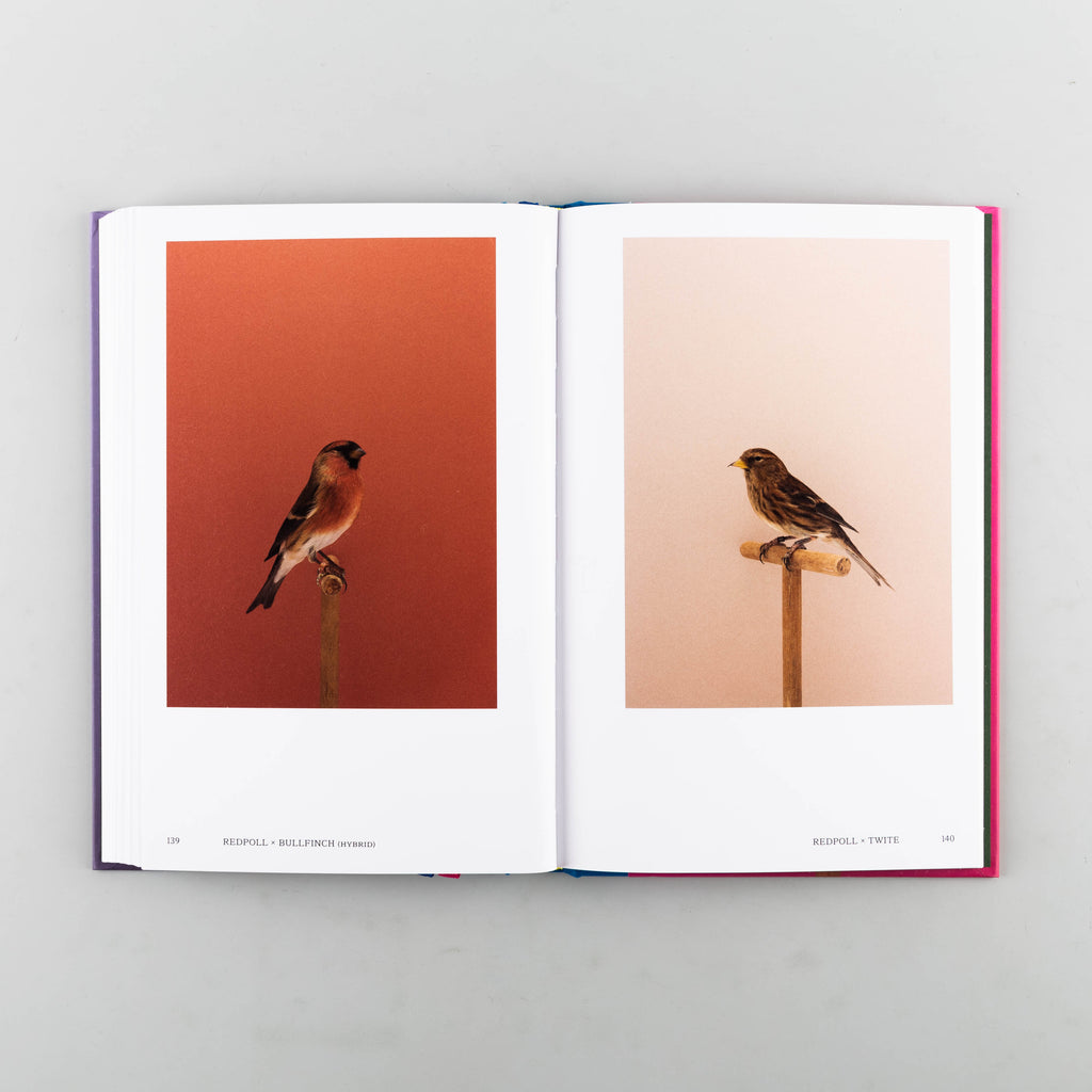 An Incomplete Dictionary of Show Birds Vol. 2 by Luke Stephenson - 3