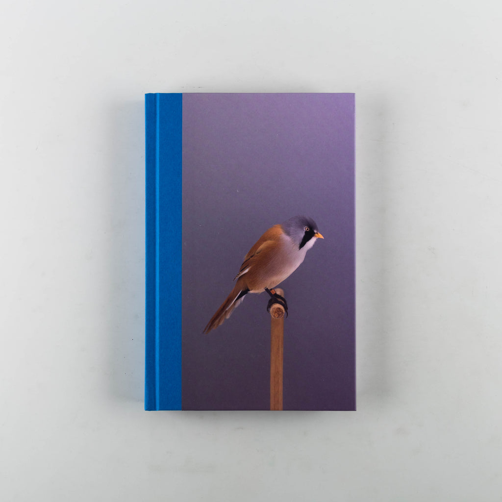 An Incomplete Dictionary of Show Birds Vol. 2 by Luke Stephenson - 8