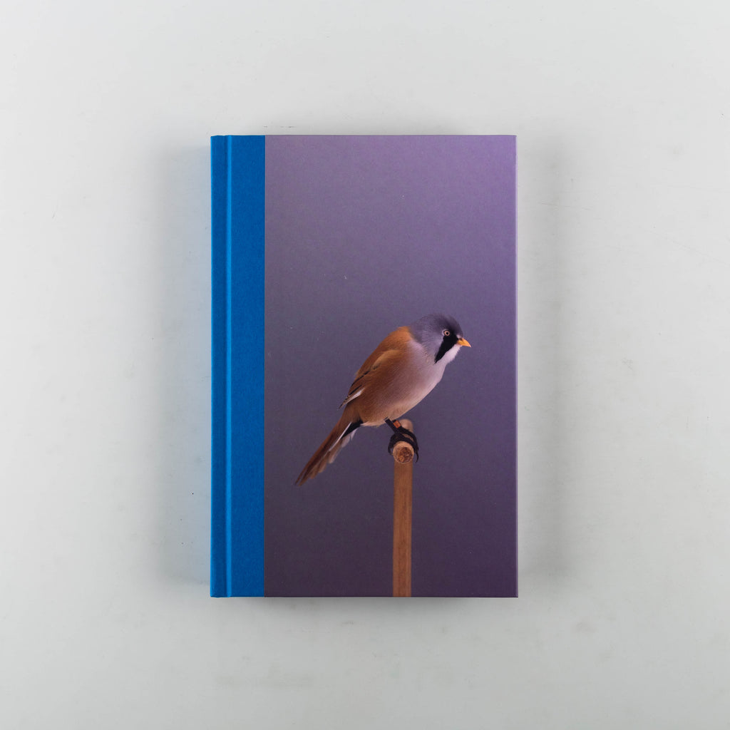 An Incomplete Dictionary of Show Birds Vol. 2 by Luke Stephenson - 20
