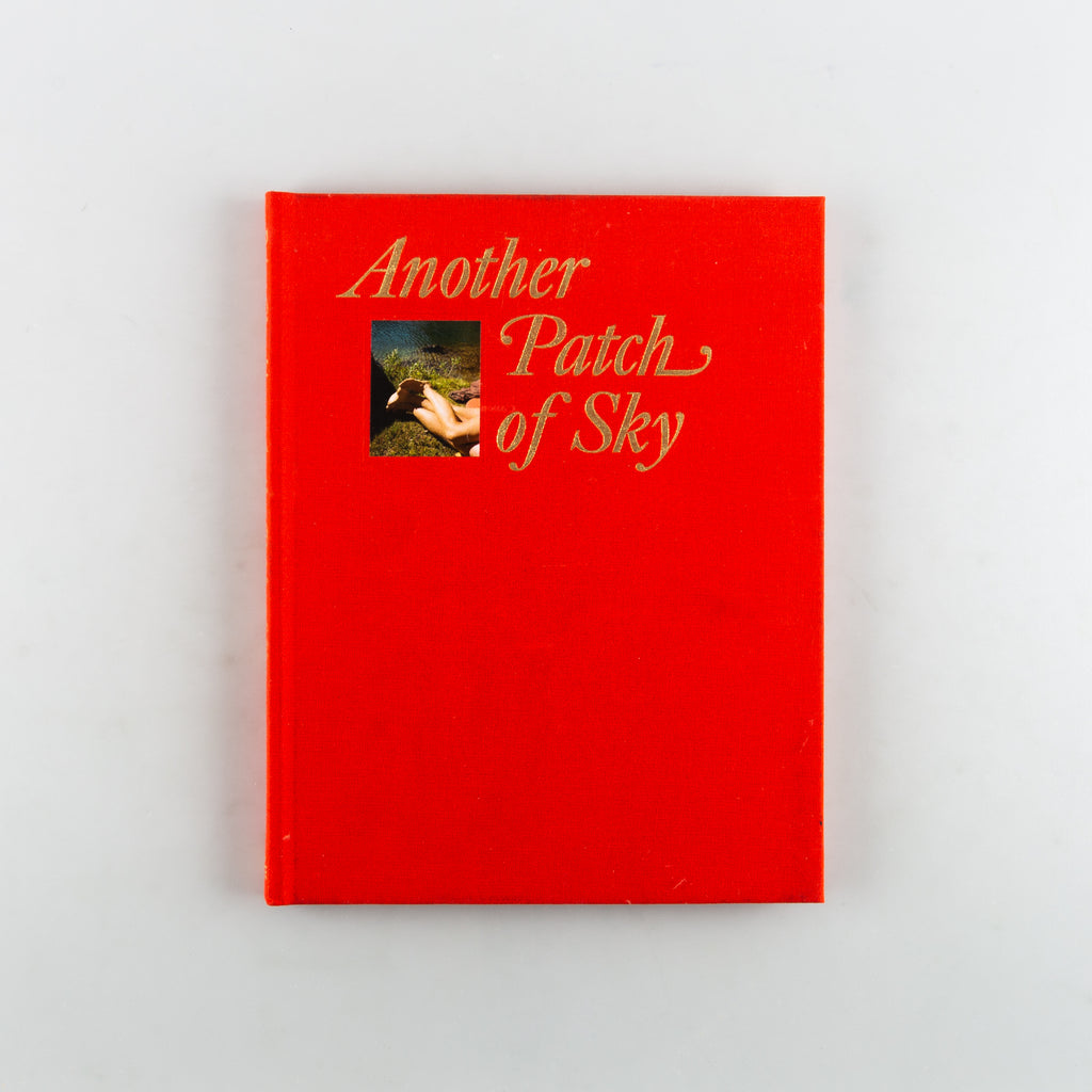 Another Patch of Sky by Brian Chorski - 5