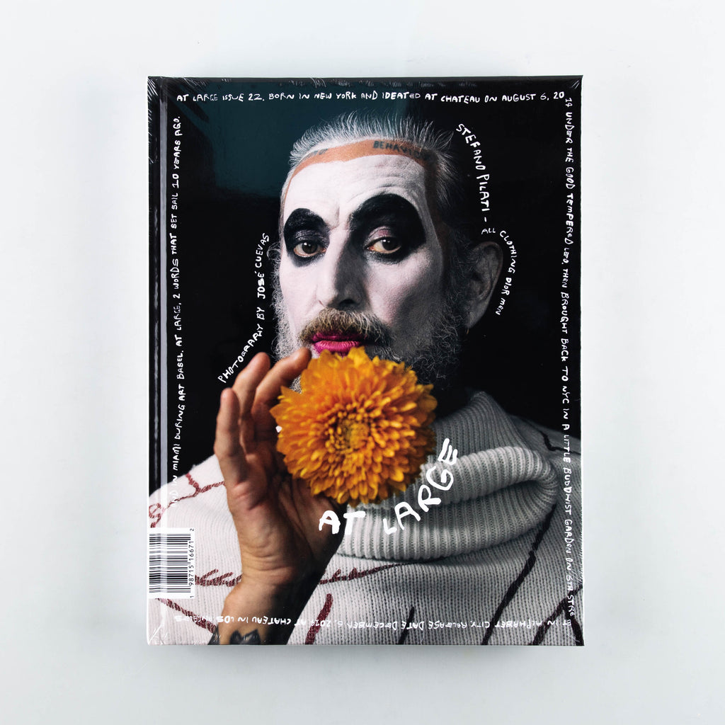 At Large Magazine 22 - 5