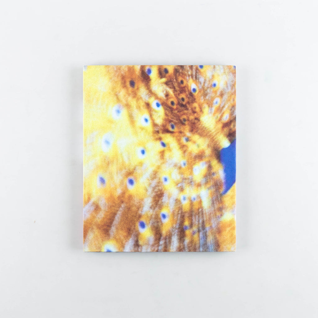 Beggar's Honey by Jack Latham - 3