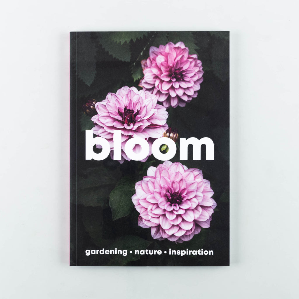 Bloom Magazine 16 - Cover