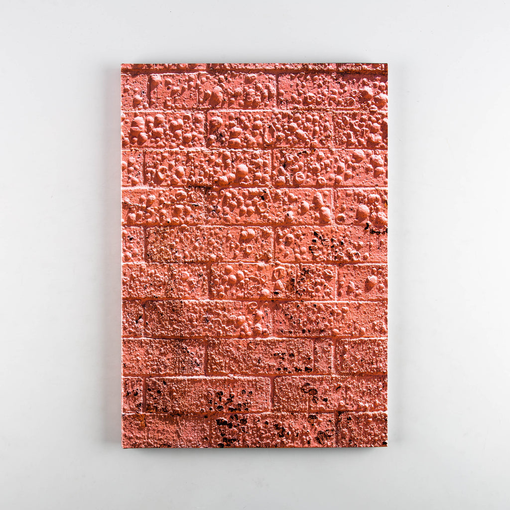 Californian Wildflowers by Pieter Hugo - 20