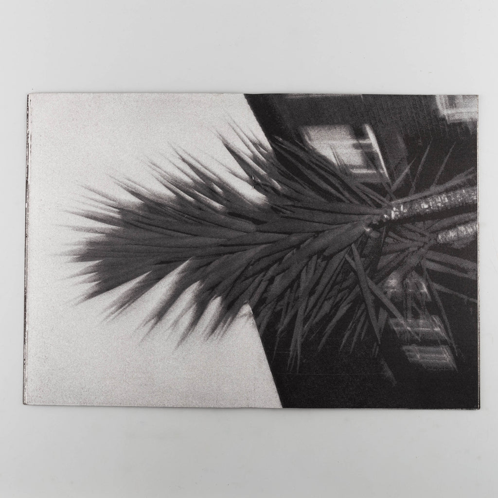English Palms by Michael Walsh - 4