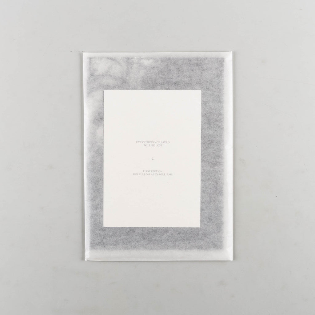 Everything Not Saved Will Be Lost by Jun Rui Lo - Cover