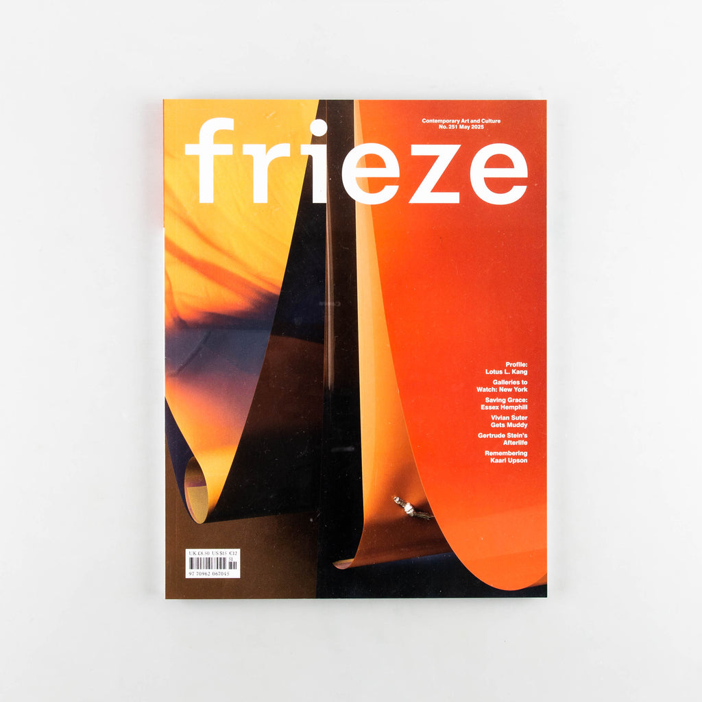 Frieze Magazine 251 - 13