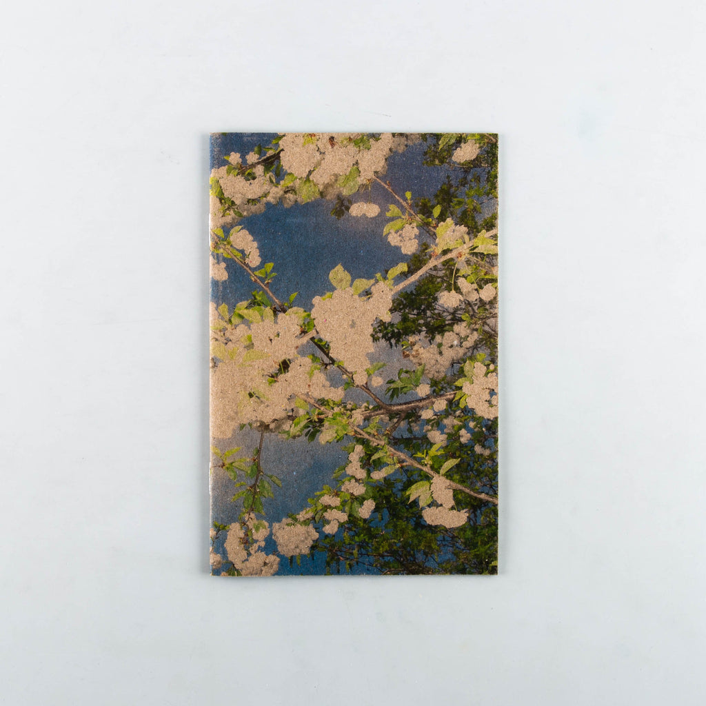 In Bloom by Harry Gammer-Flitcroft - 19