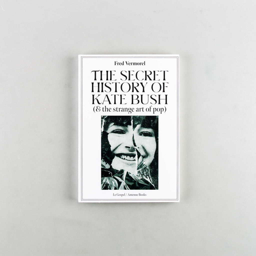 The Secret History Of Kate Bush (And The Strange Art Of Pop) by Fred Vermorel - 19