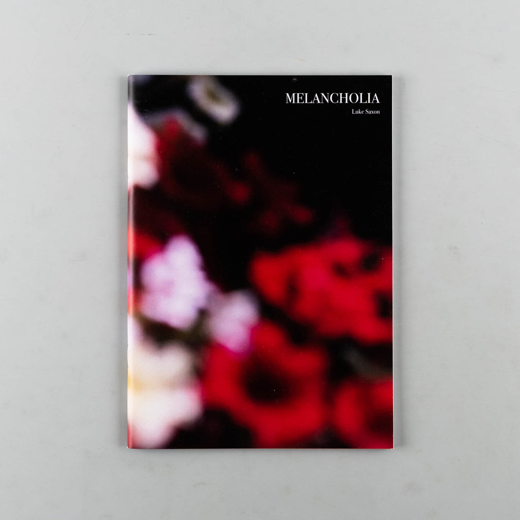 Melancholia by Luke Saxon - 19