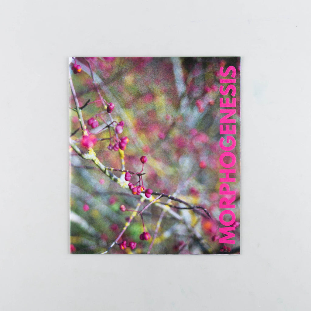 Morphogenesis 2 by Tyrone Williams & Eugenie Shinkle - 12