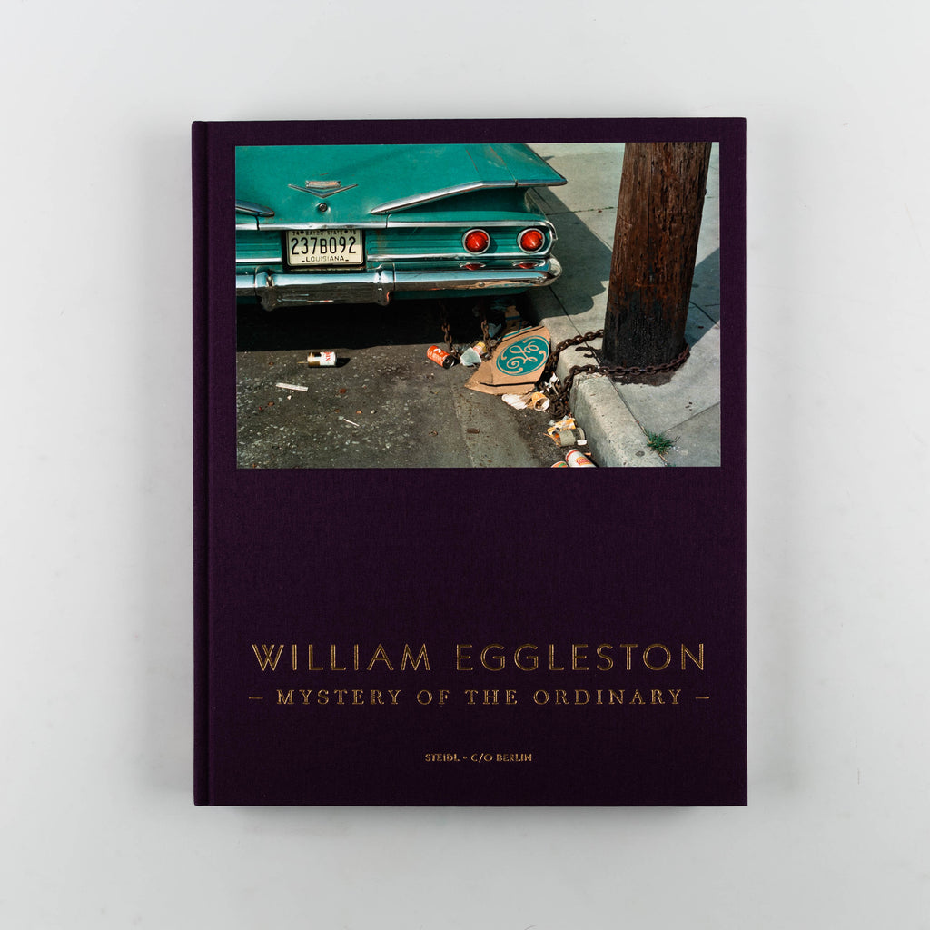 Mystery of the Ordinary by William Eggleston - 1