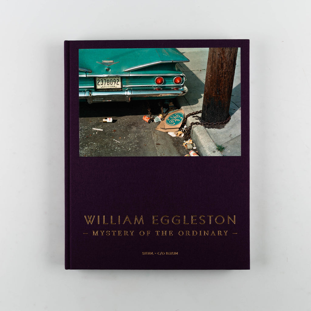 Mystery of the Ordinary by William Eggleston - 16
