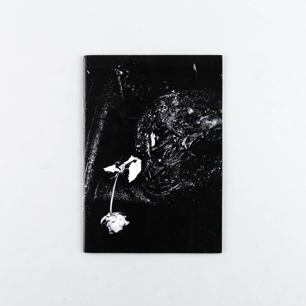 Pathology of Ruin: A Clinical Exploration of Berlin's Burned Automobiles by Niccolo Parodi - 18