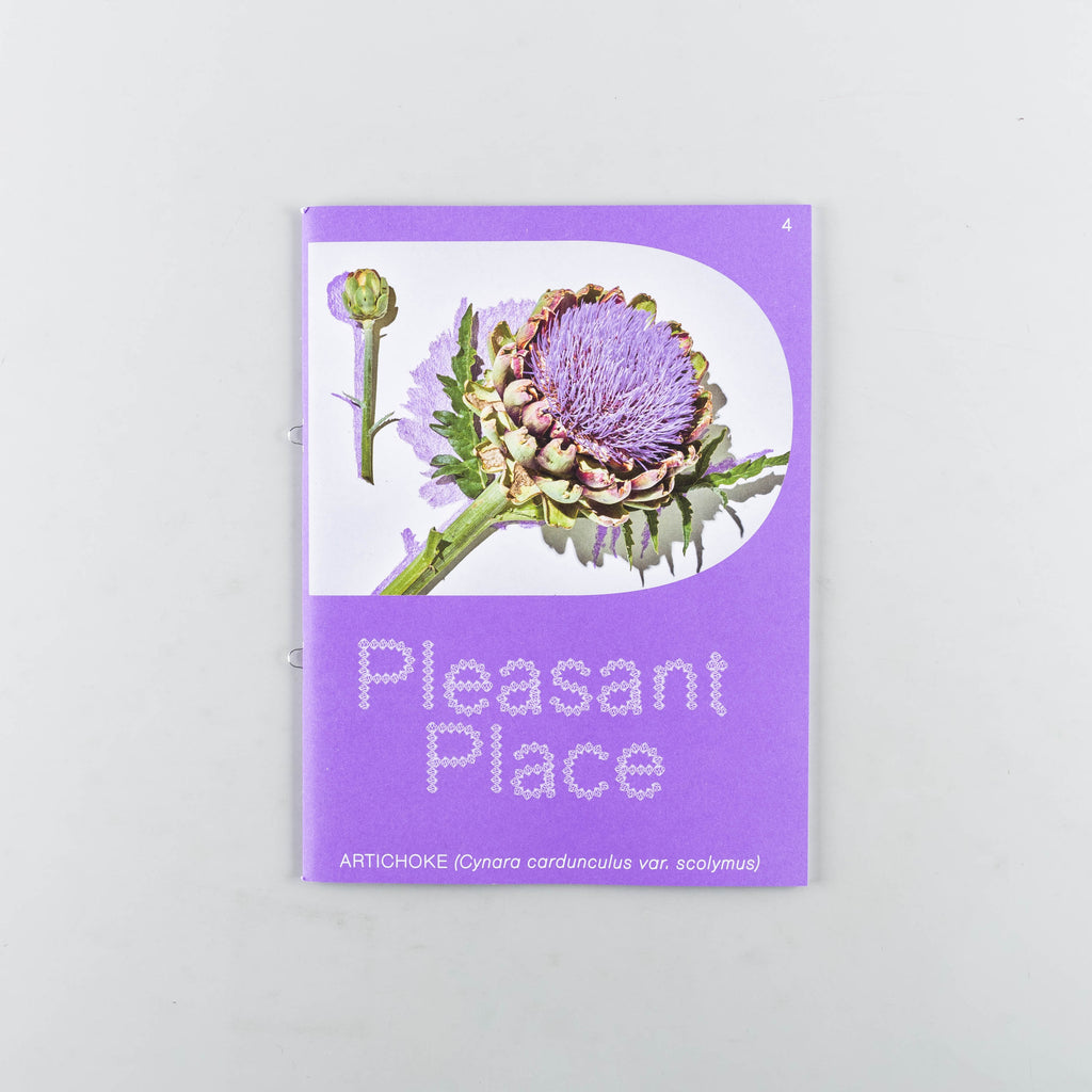 Pleasant Place Magazine 4 - 3