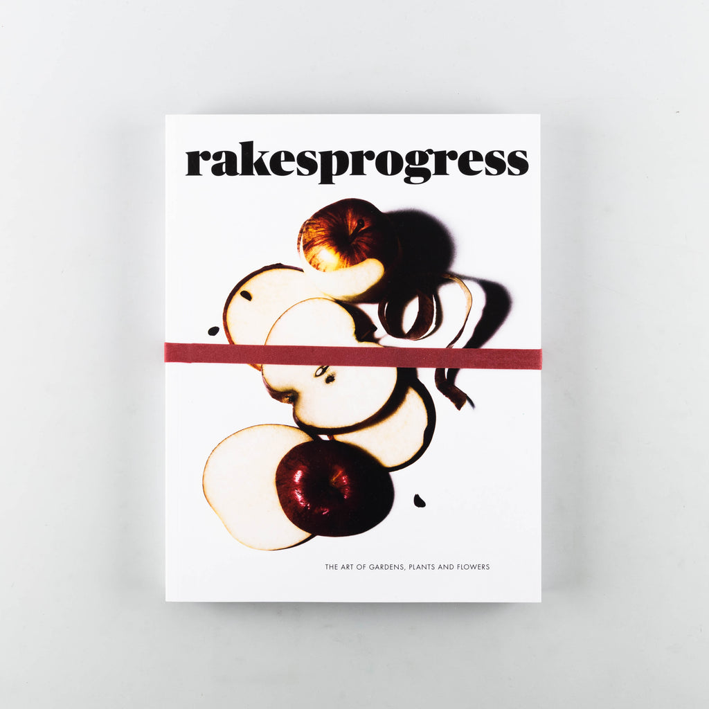 Rakes Progress Magazine 16 - 12