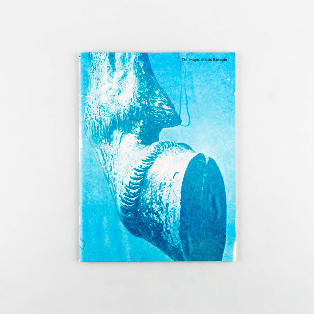 The Images of Luis Barragán by Mark Manders, Roger Willems - 3