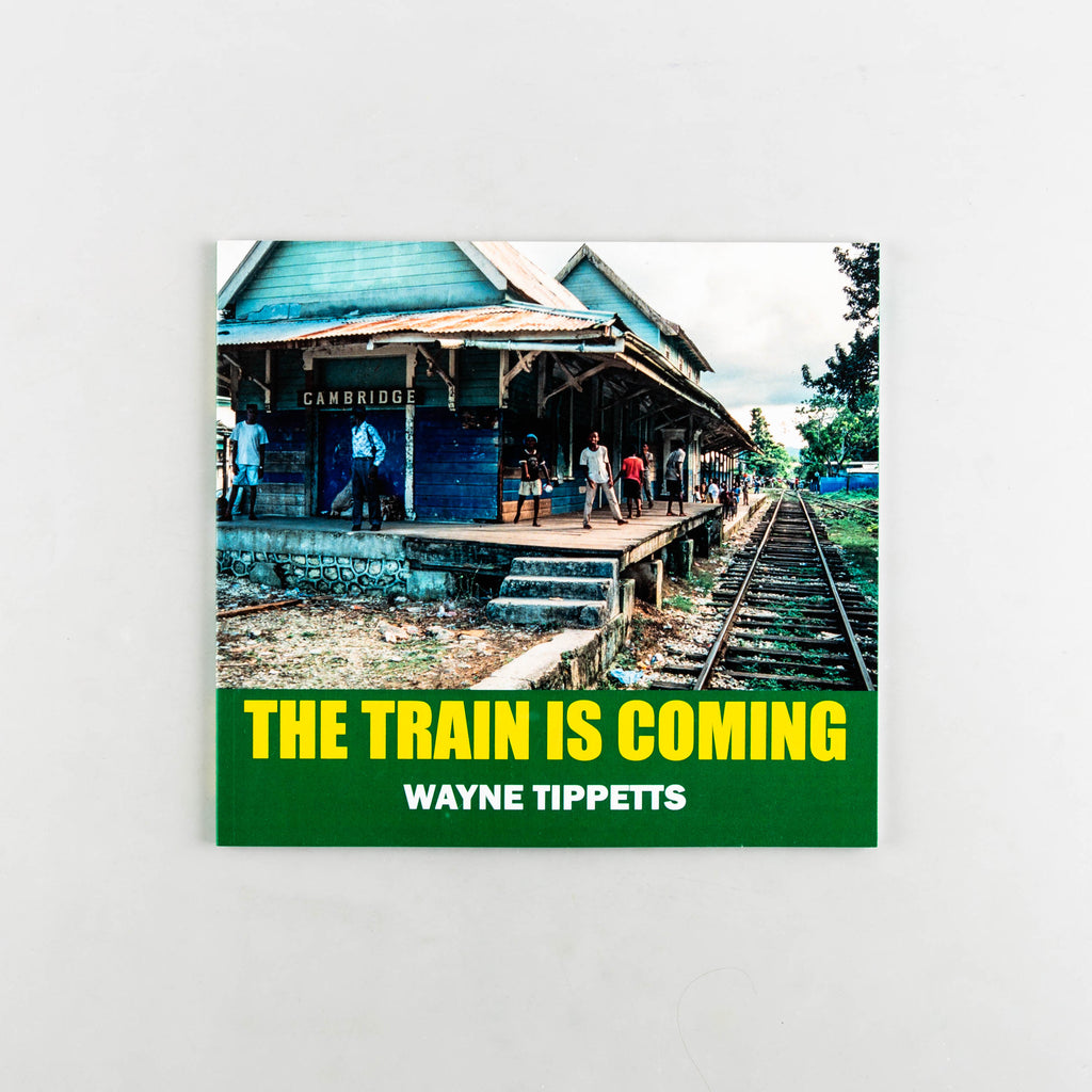 The Train is Coming by Wayne Tippetts - 5