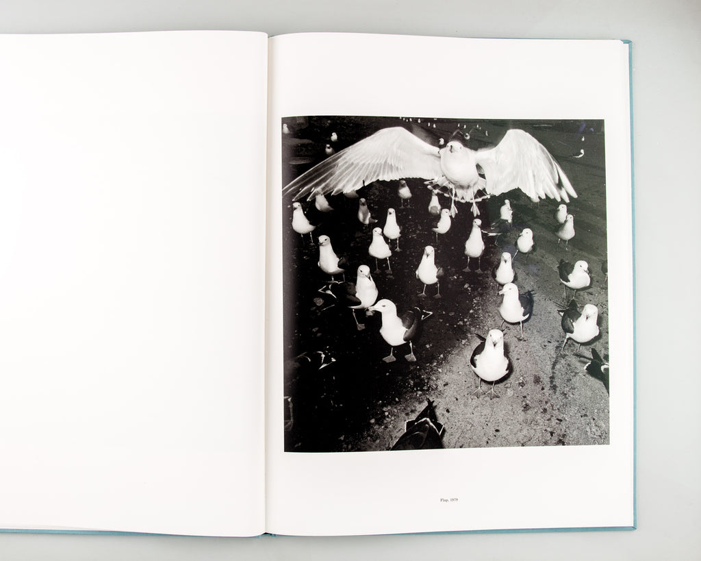 ORIGIN by Kozo Miyoshi - 4