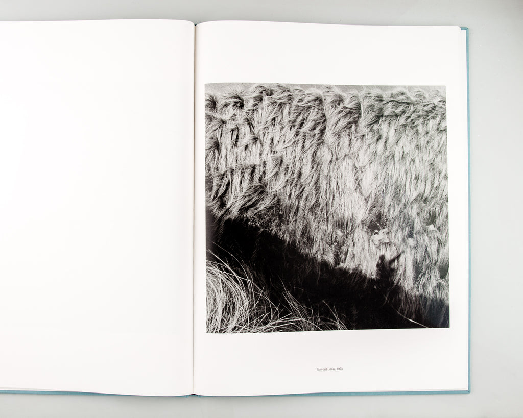 ORIGIN by Kozo Miyoshi - 6