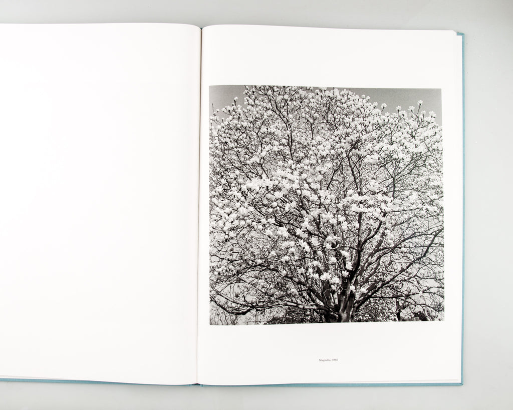 ORIGIN by Kozo Miyoshi - 7