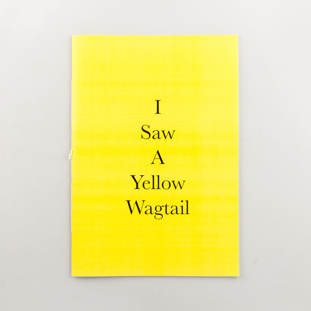 I Saw A Yellow Wagtail by Noah Ringrose - 8