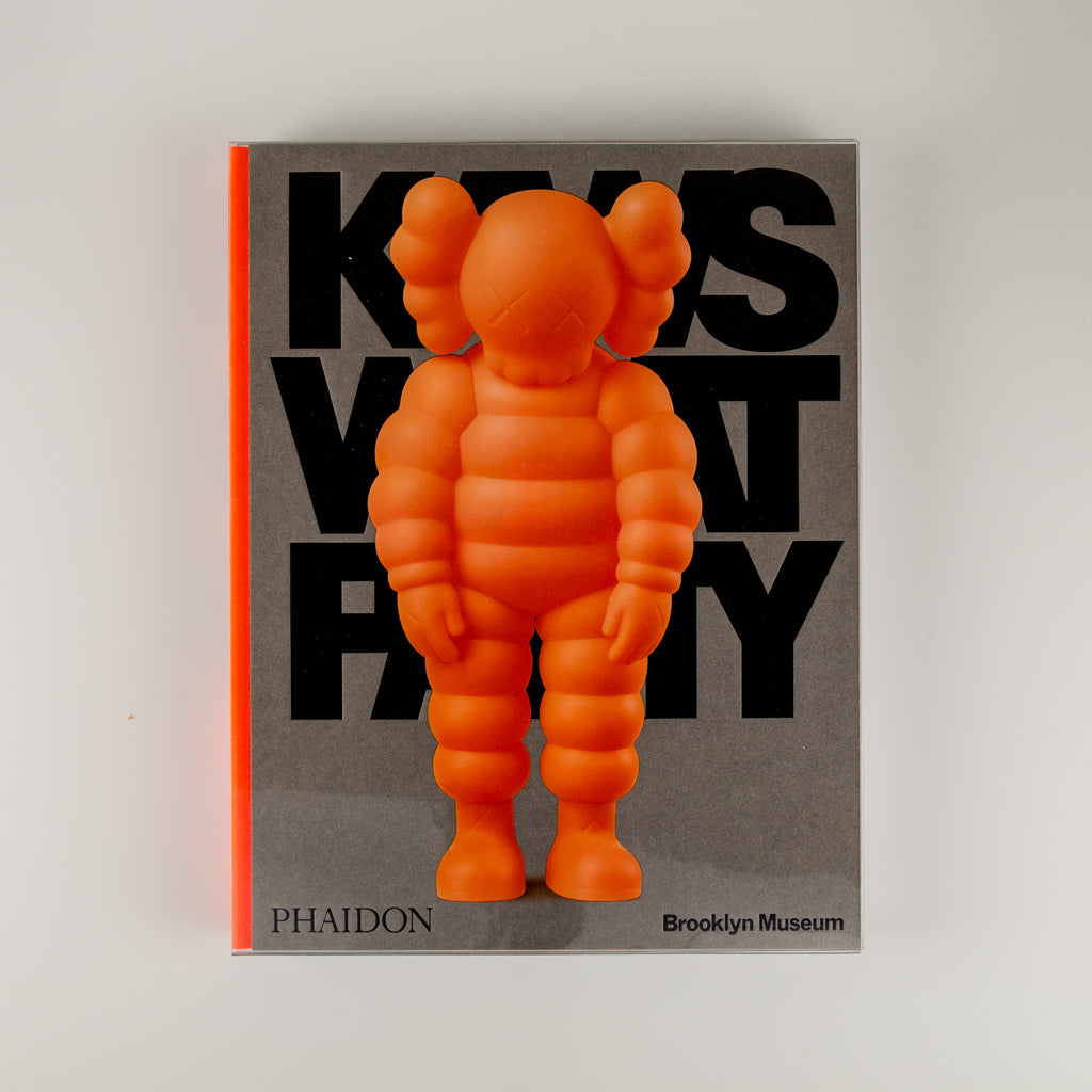 KAWS What Party - 19
