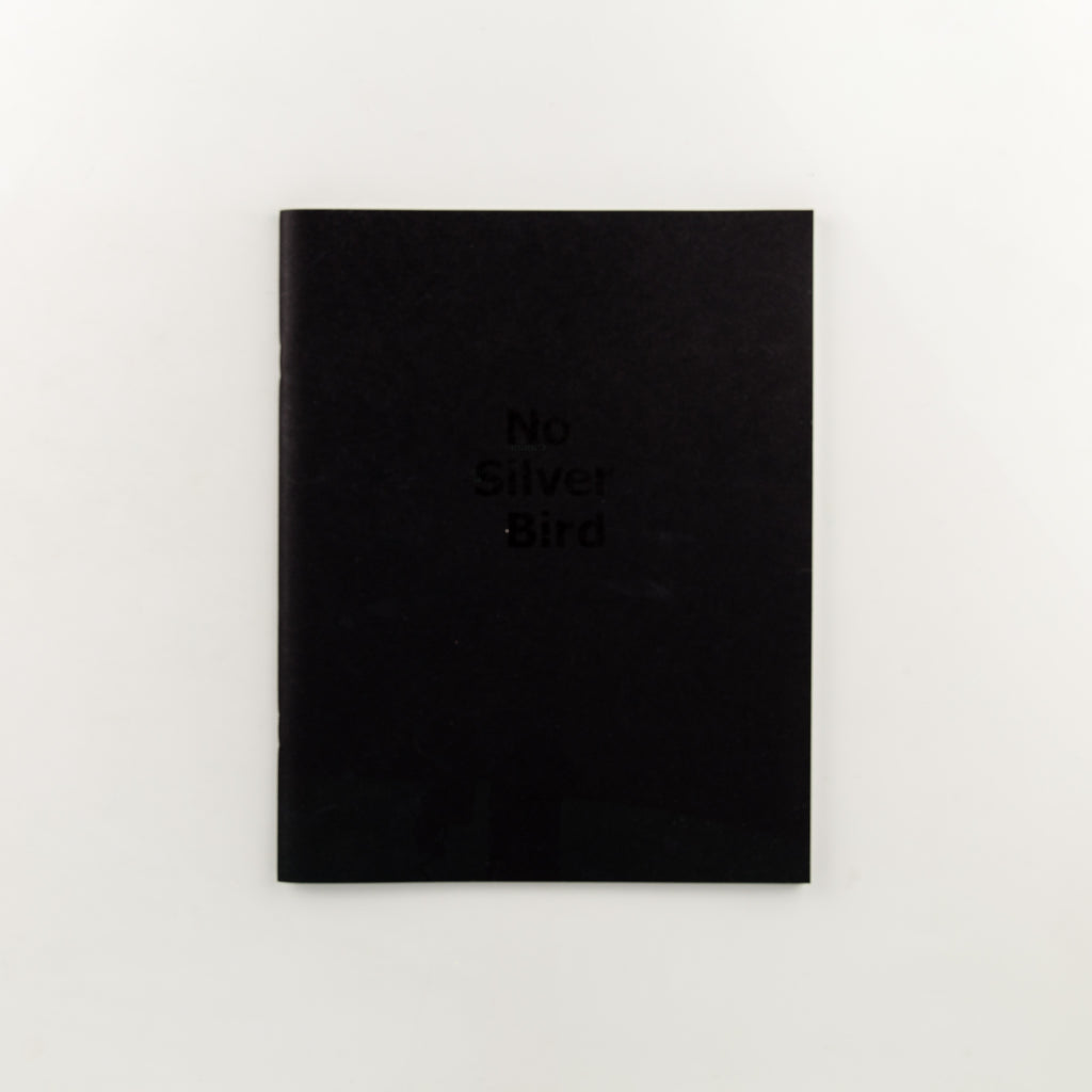 No Silver Bird by Dan Commons - 6