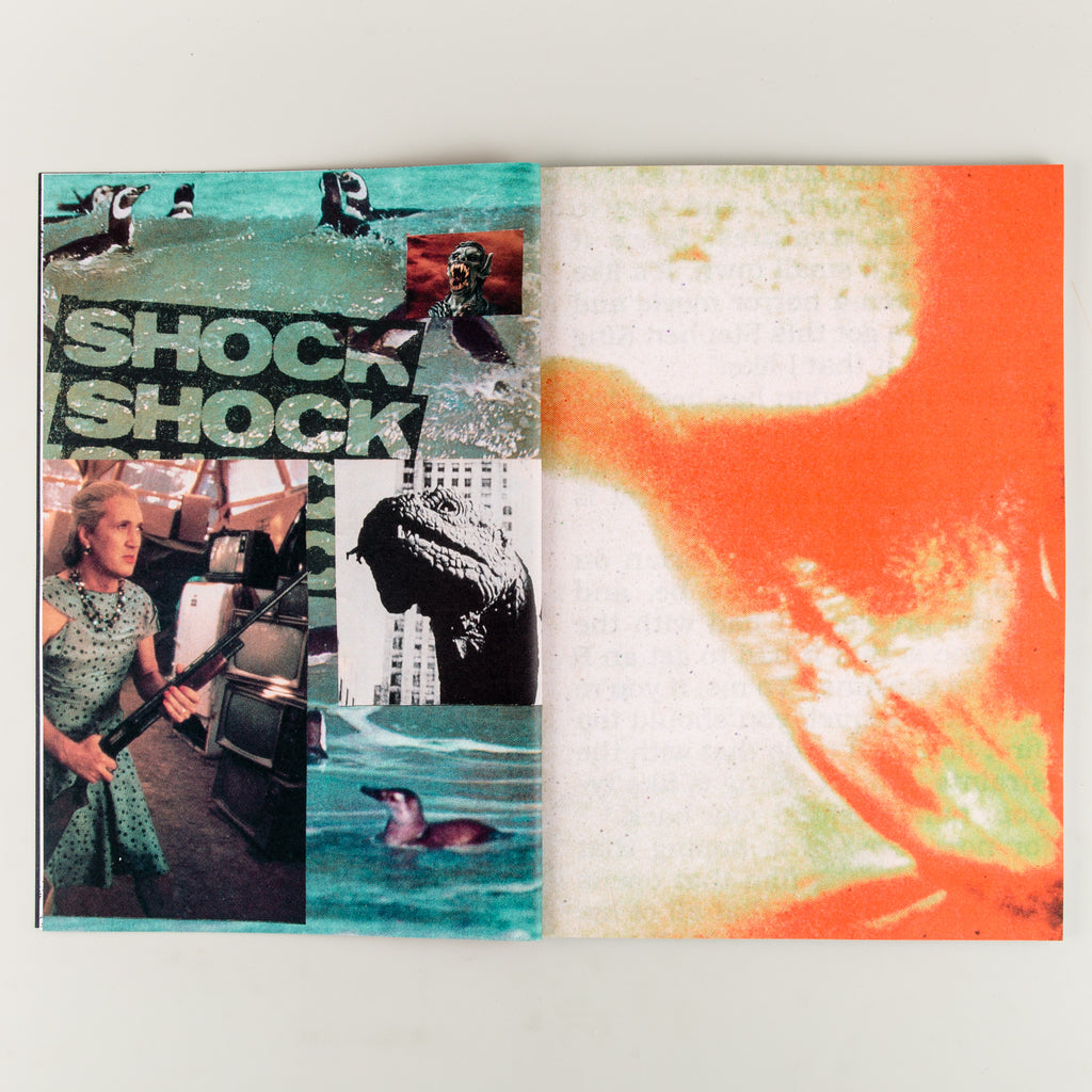 SHOCK by Roydon Misseldine - Cover