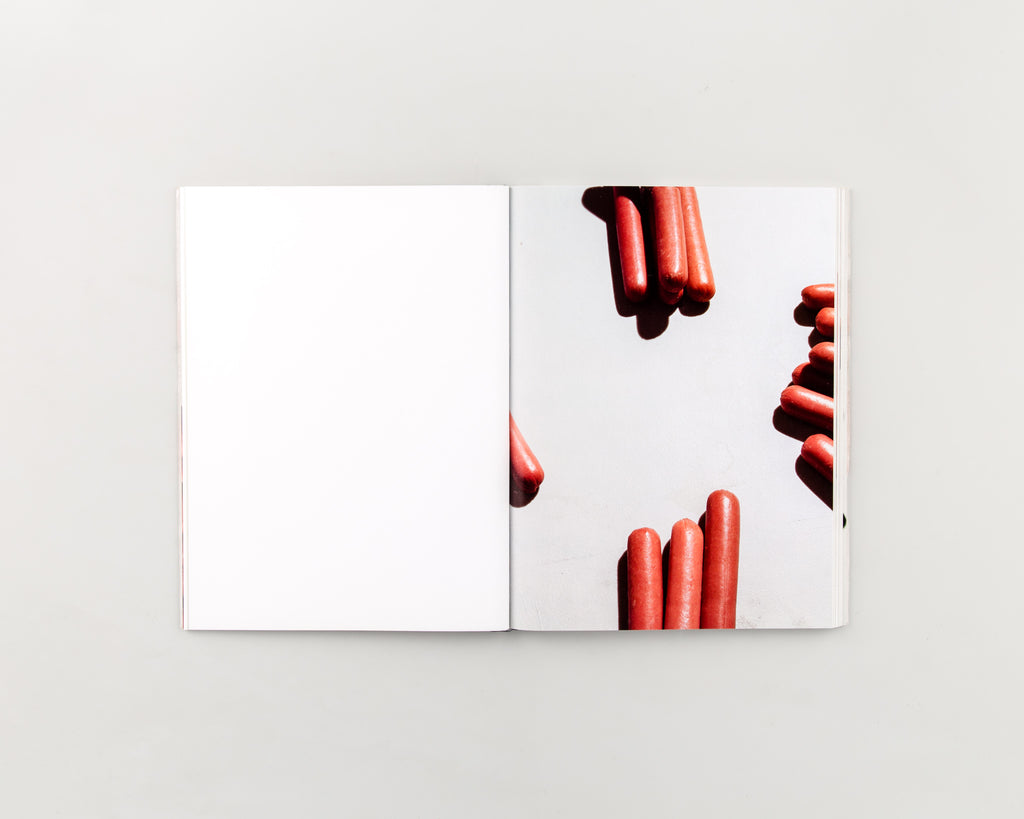 SPBH BOOK CLUB VOL.V by Esther Teichmann Book From Japan