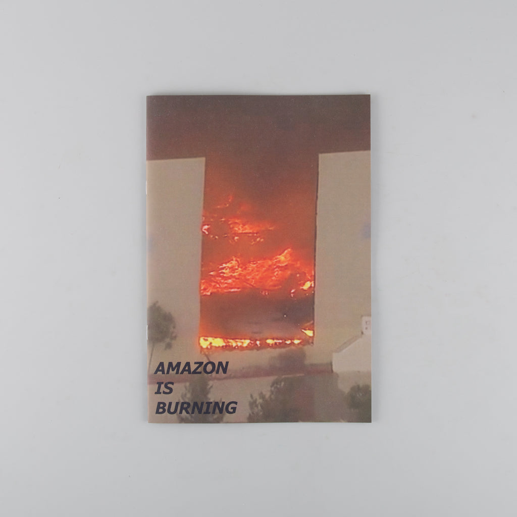 Amazon is Burning by Sam Hutchinson - 5