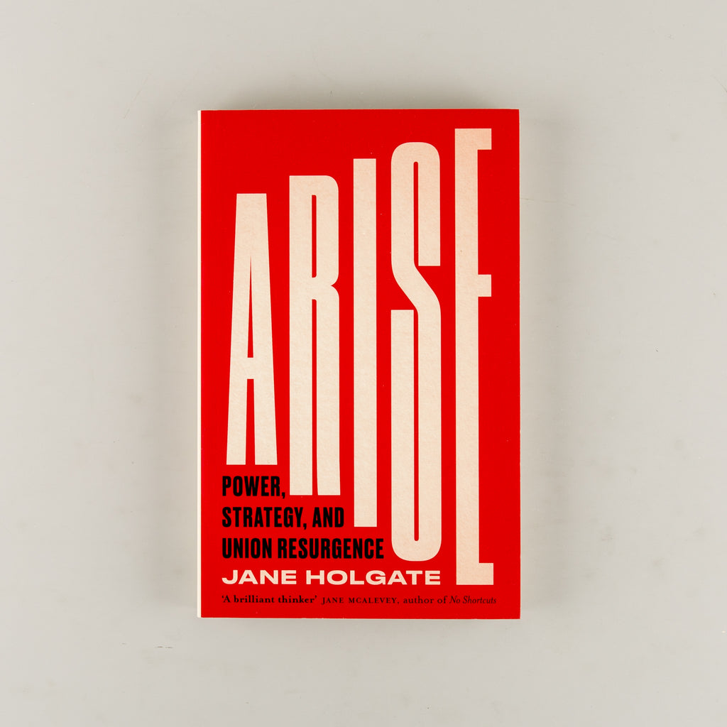 Arise by Jane Holgate - 4