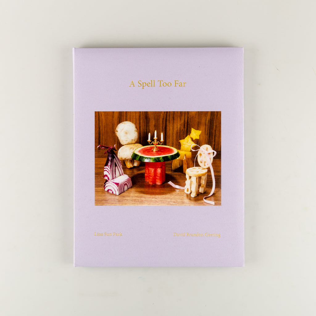A Spell Too Far by Lina Sun Park & David Brandon Geeting - 5