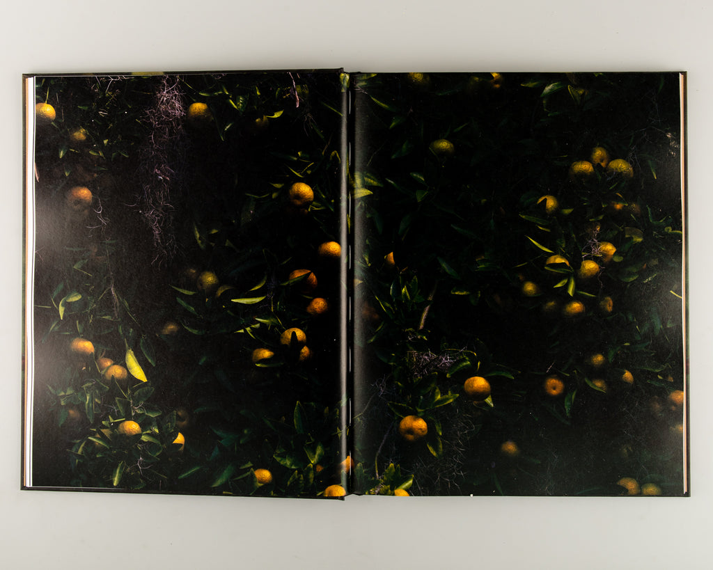 Blackwater River by Robbie Lawrence - 4