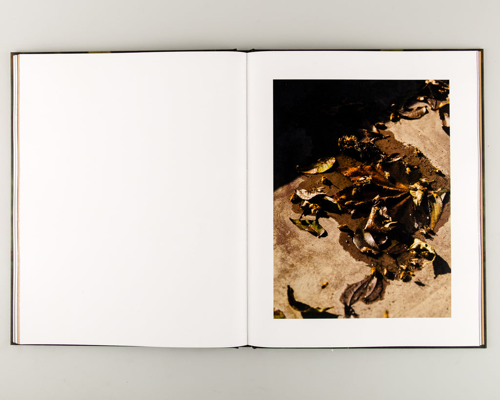 Blackwater River by Robbie Lawrence - 7