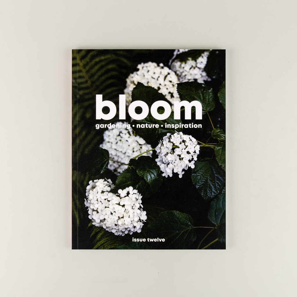 Bloom Magazine 12 - 1