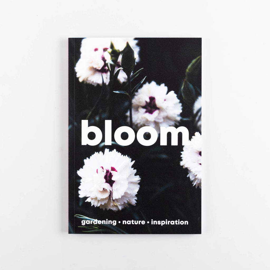 Bloom Magazine 14 - 15