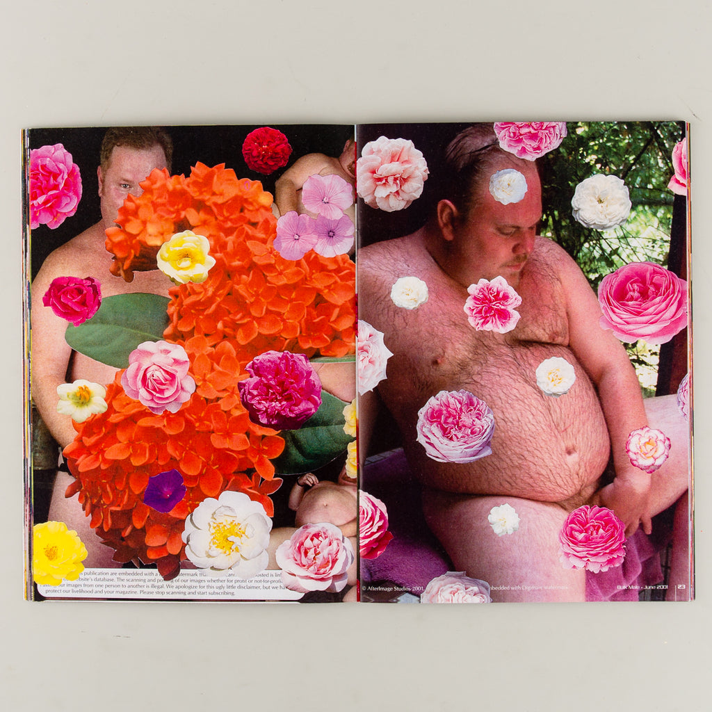 Bulk Male Flower Collages by James Unsworth - 5