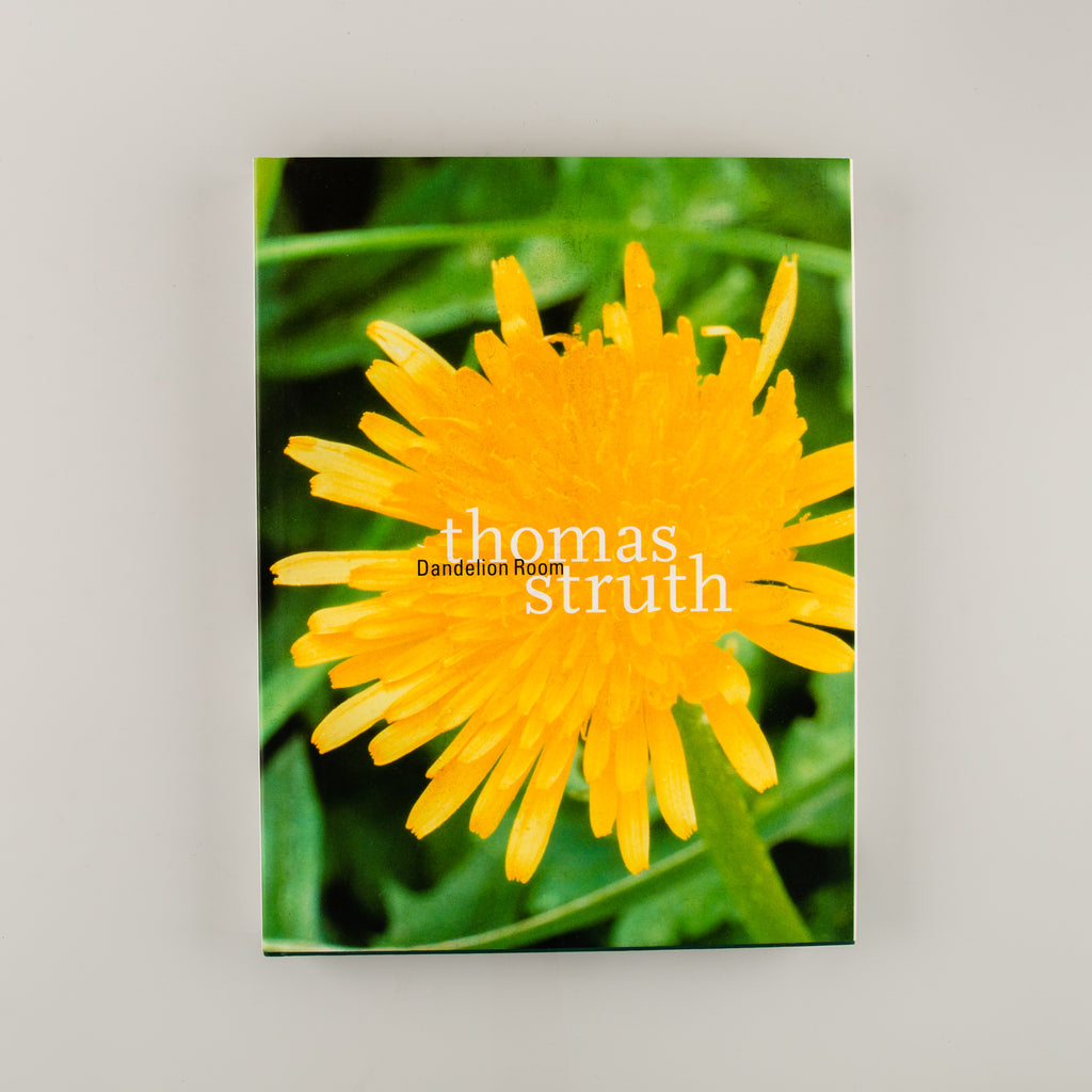 The Dandelion Room by Thomas Struth - 4