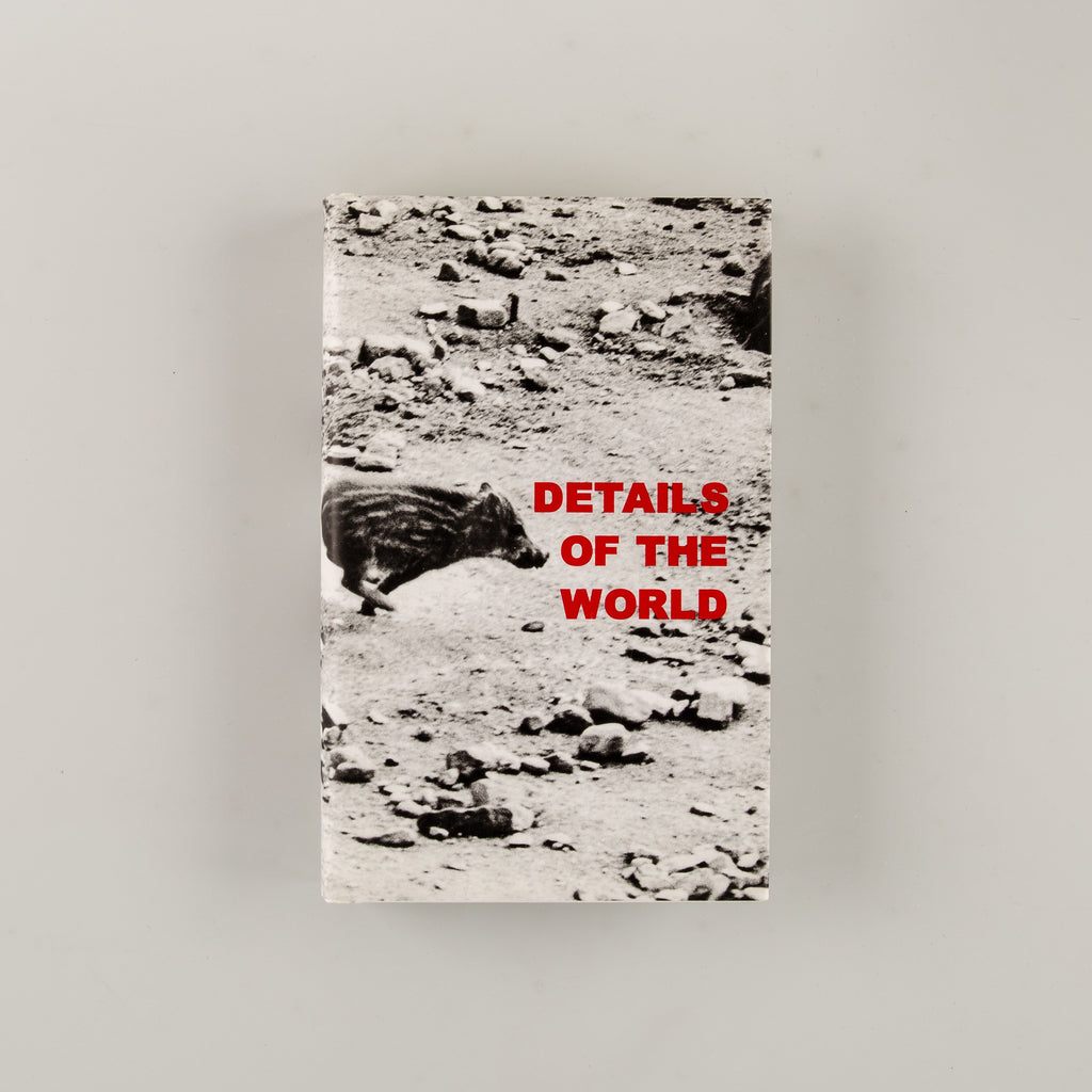 Details Of The World by Sophie Ristelhueber - 6