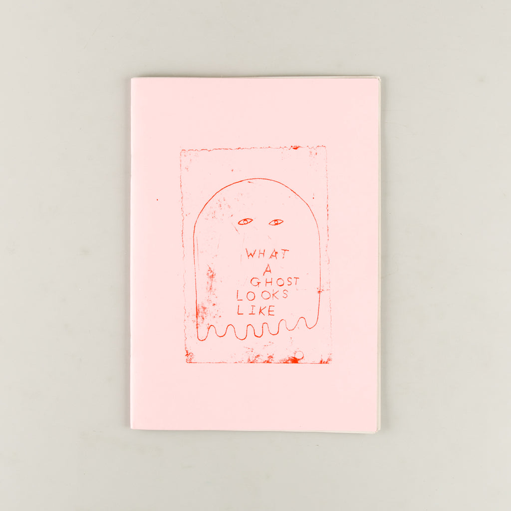 What a Ghost Looks Like by Daniel Sean Kelly - 14
