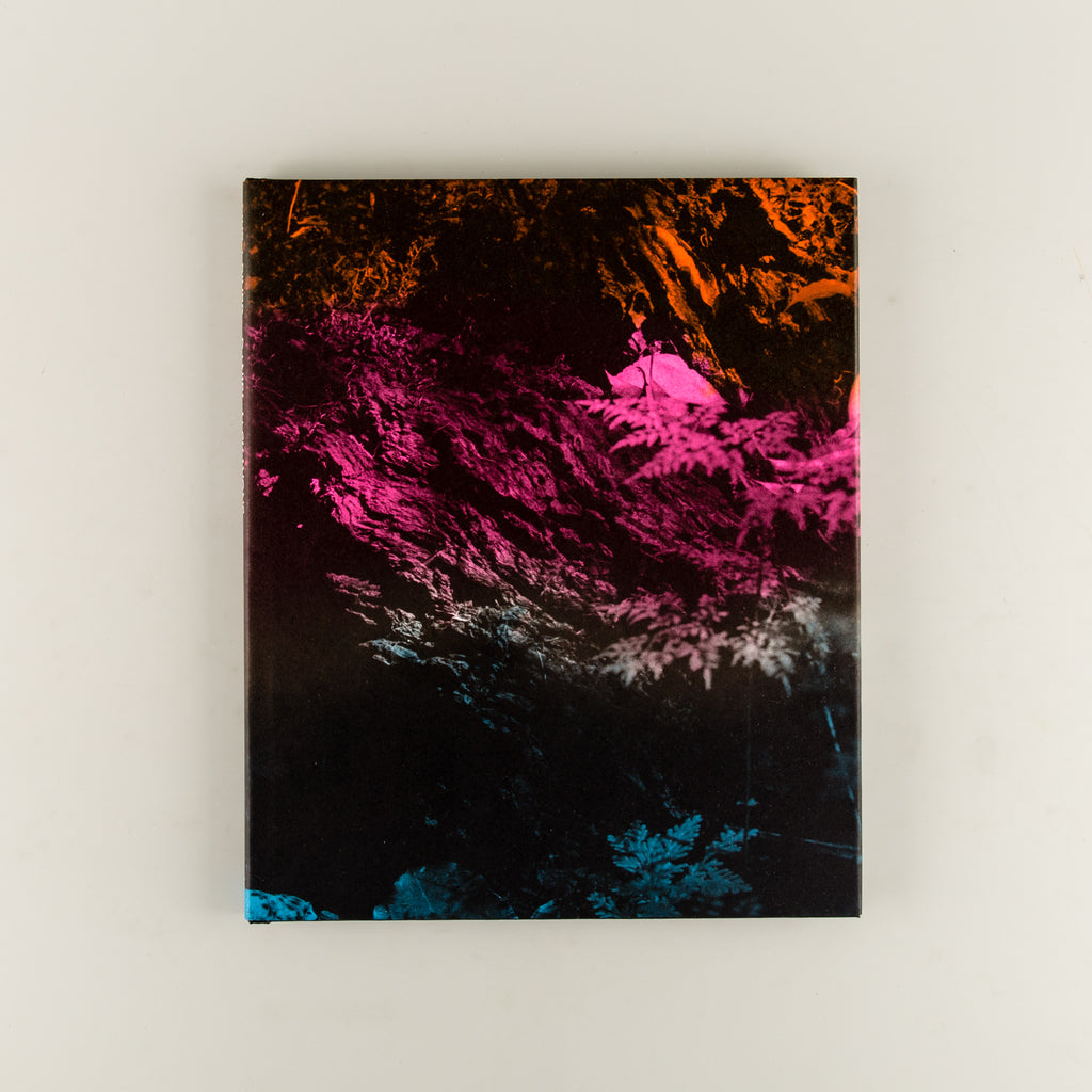 Like a River by Daniel Jack Lyons - 8