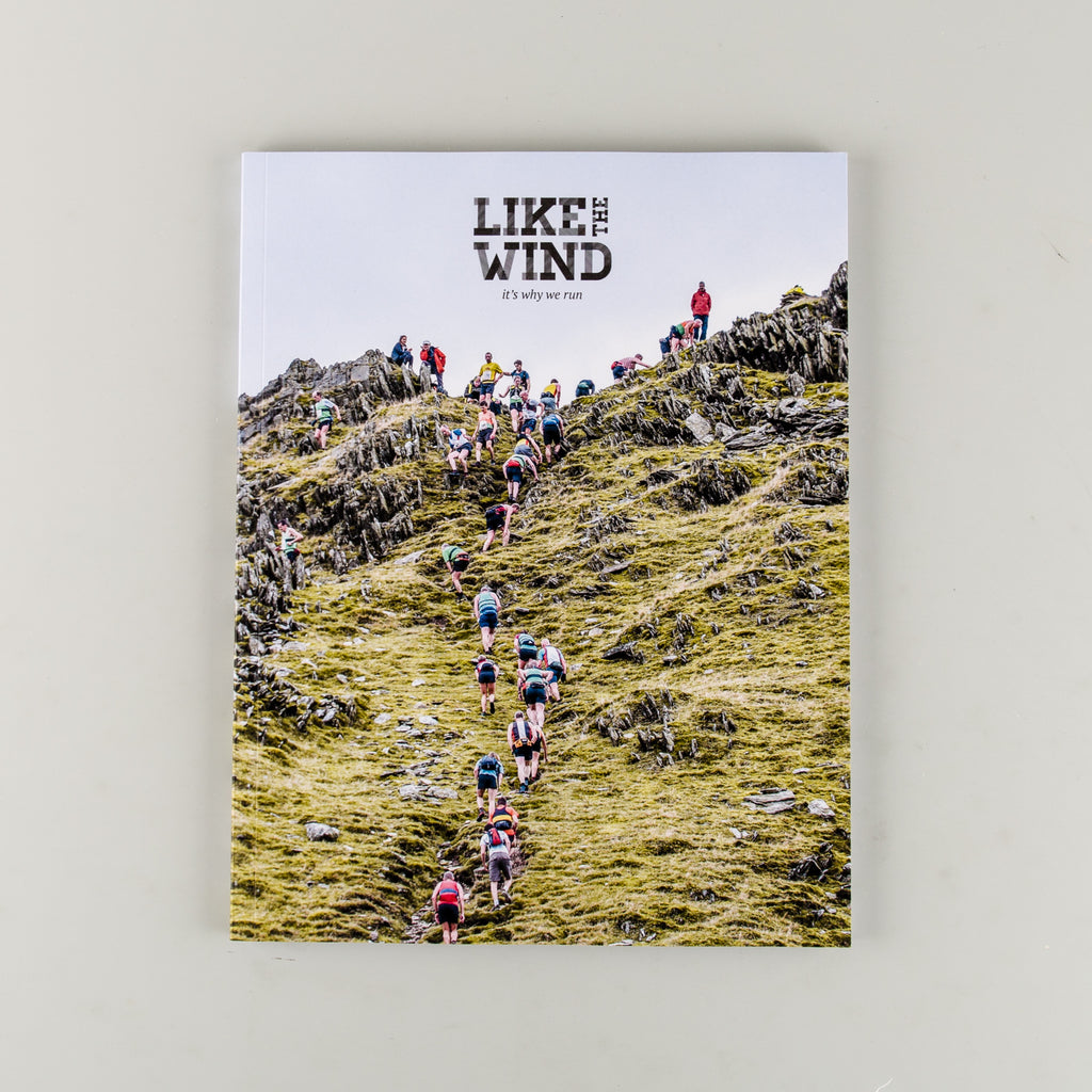 Like The Wind Magazine 30 - 12