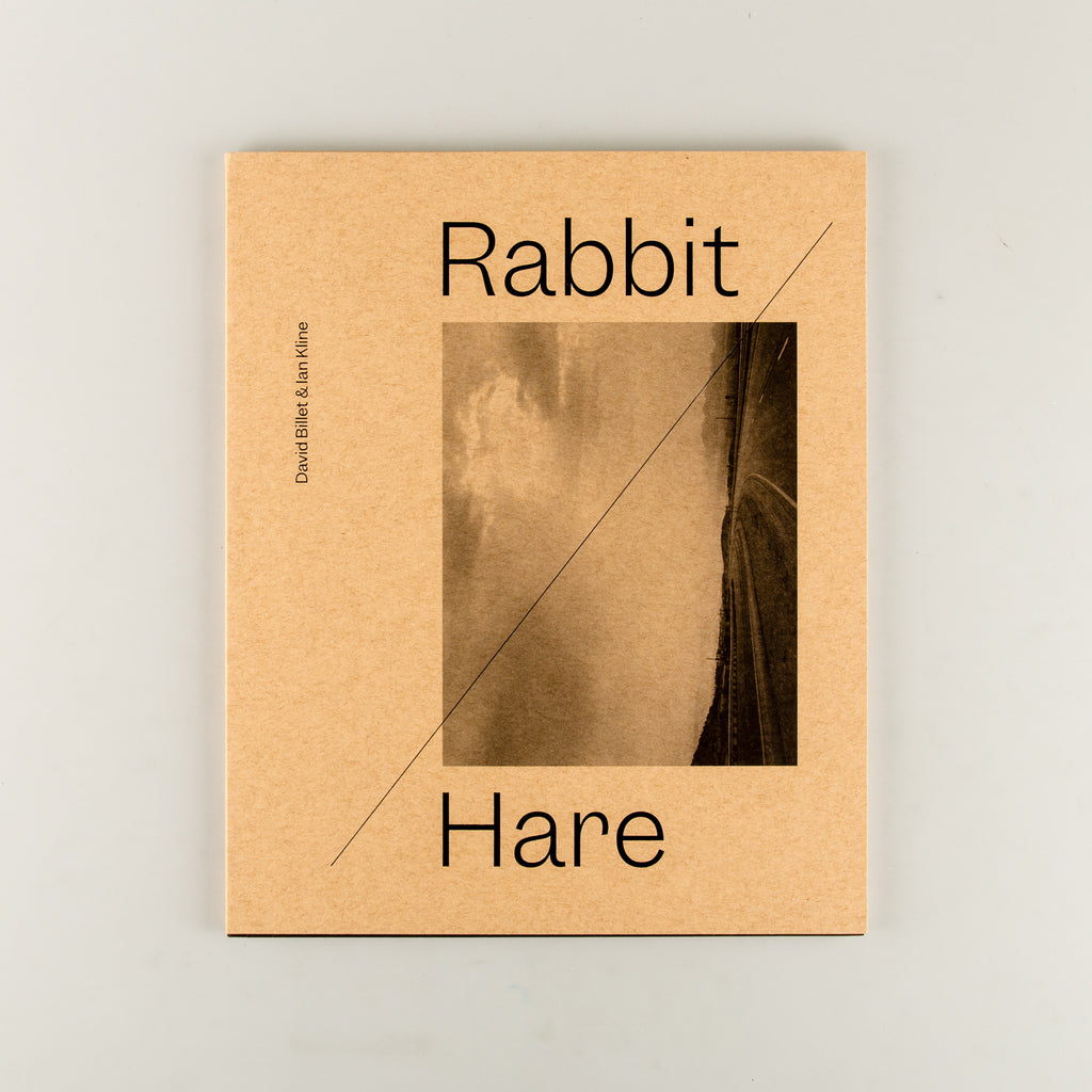 Rabbit / Hare by David Billet and Ian Kline - 9